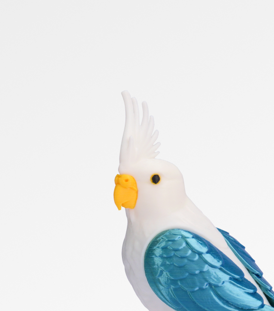 Multi-Color Printing